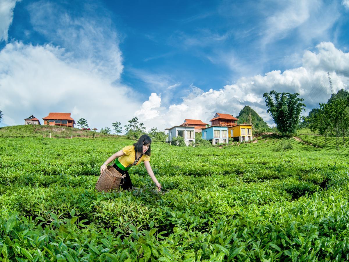 Moc Chau Arena Village Ban Chieng Di Экстерьер фото